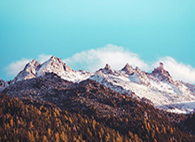 乐鱼体育登录：开启体育竞技新体验的入口